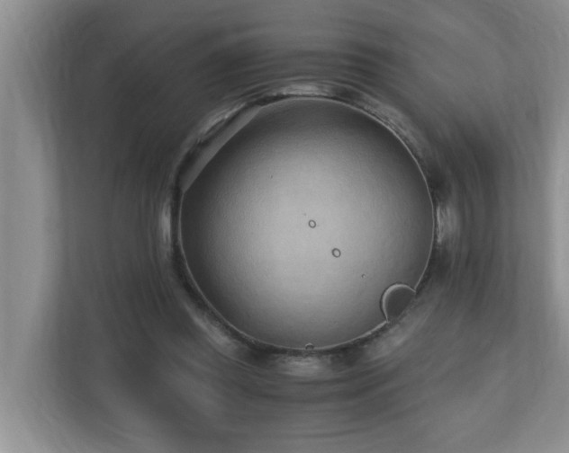 X0000110690349200906121230