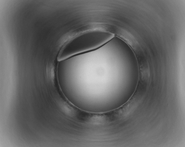 X0000110690350200906121230