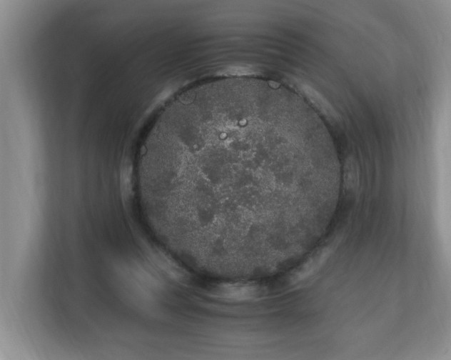 X0000110690351200906121230