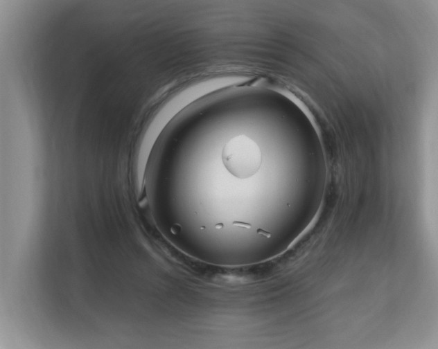 X0000110690352200906121230