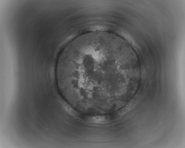 X0000110690353200906121230