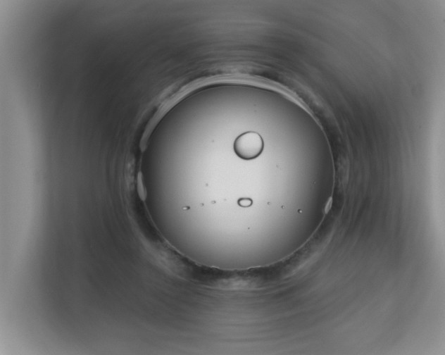 X0000110690356200906121230