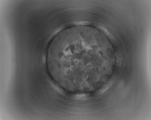 X0000110690357200906121230