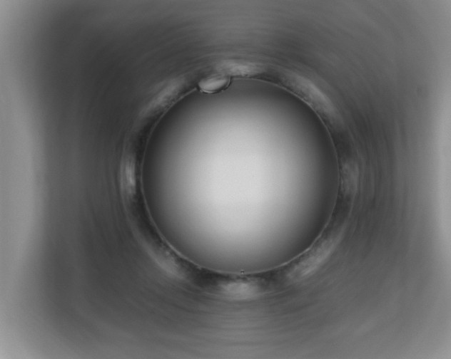 X0000110690358200906121230