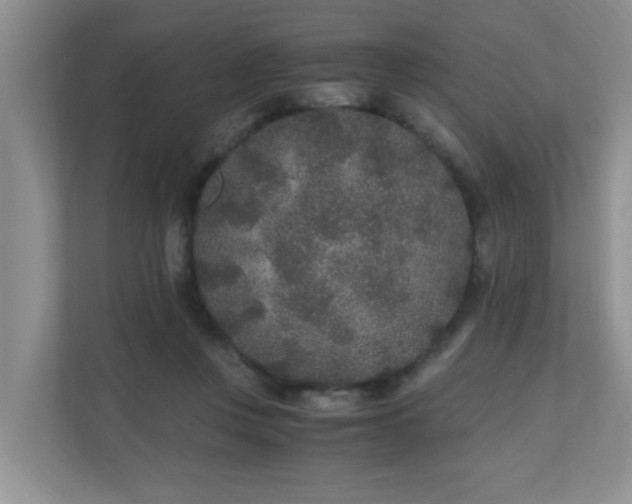 X0000110690359200906121230