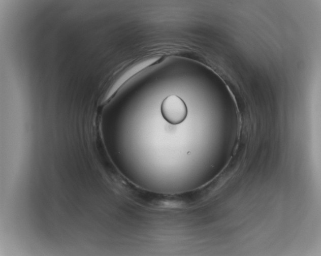 X0000110690360200906121230