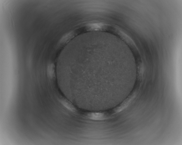 X0000110690361200906121230