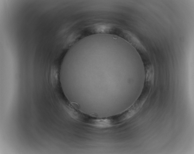 X0000110690363200906121230