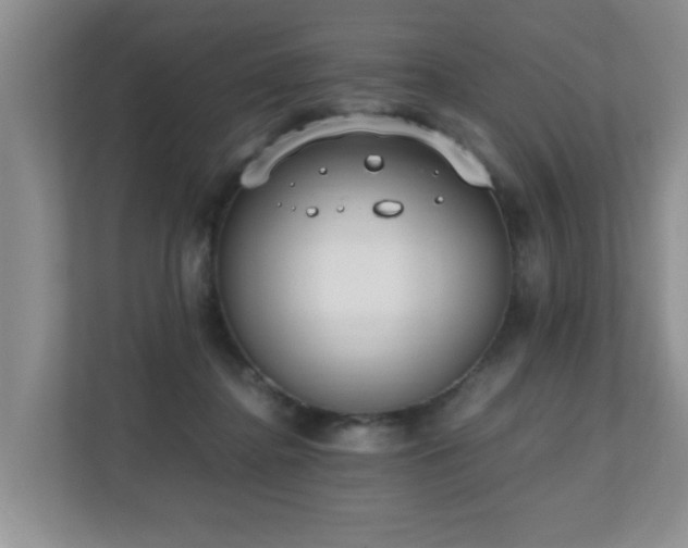 X0000110690364200906121230