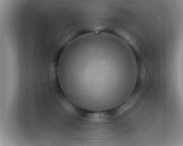 X0000110690366200906121231