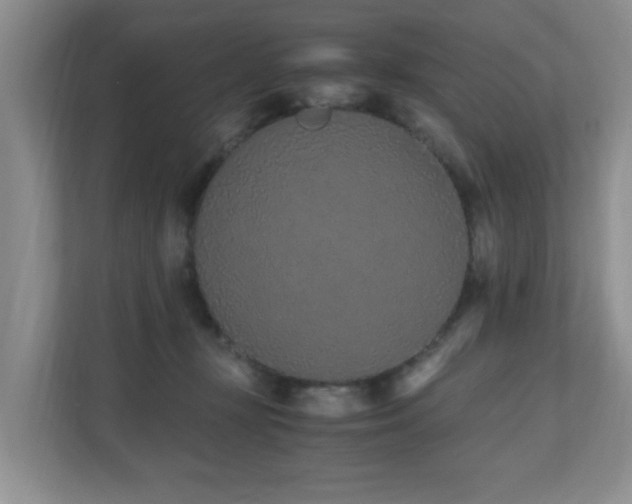 X0000110690367200906121231