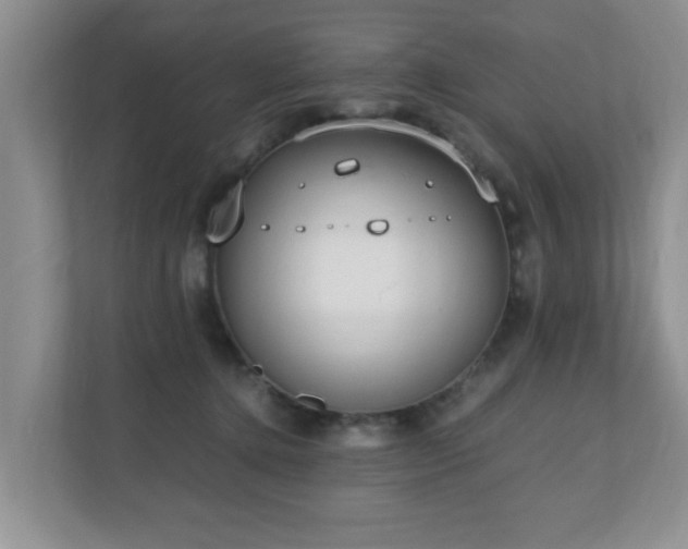 X0000110690368200906121231