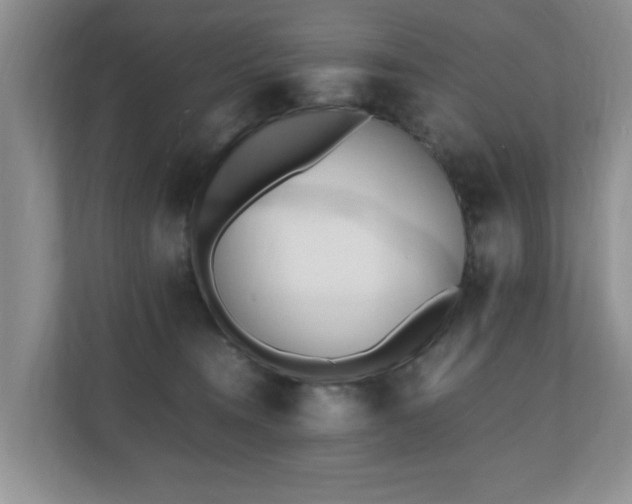 X0000110690372200906121231