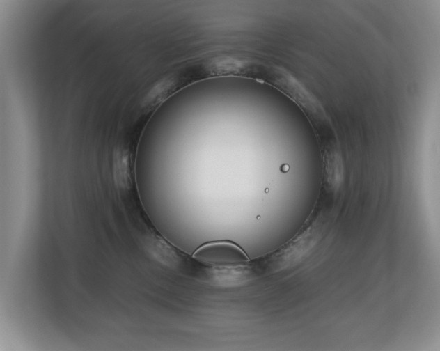 X0000110690378200906121231