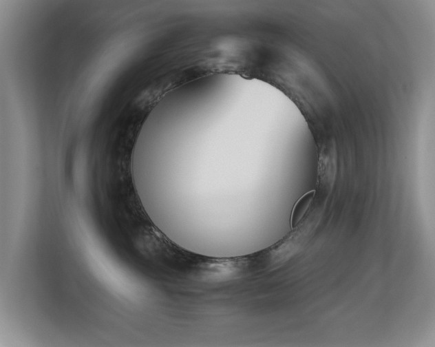 X0000110690381200906121231