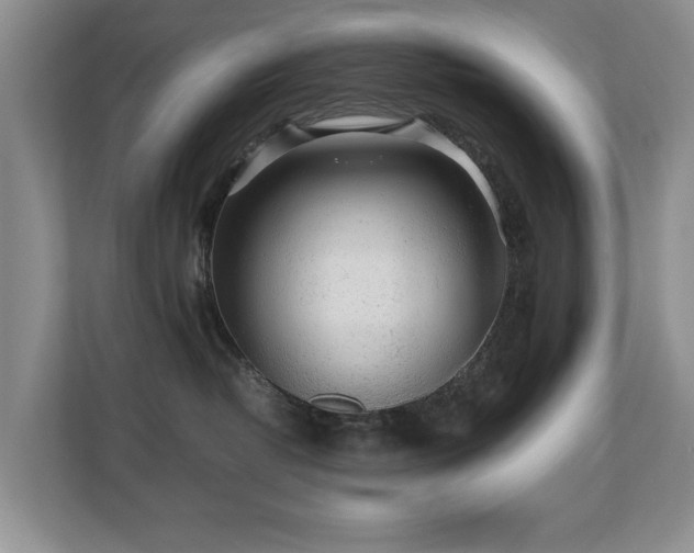 X0000110690382200906121231