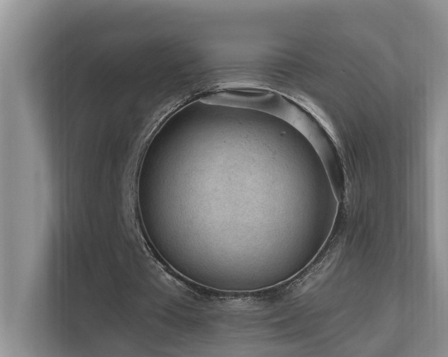 X0000110690385200906121230