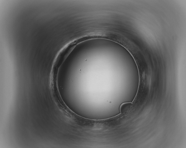 X0000110690388200906121230