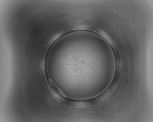 X0000110690389200906121230