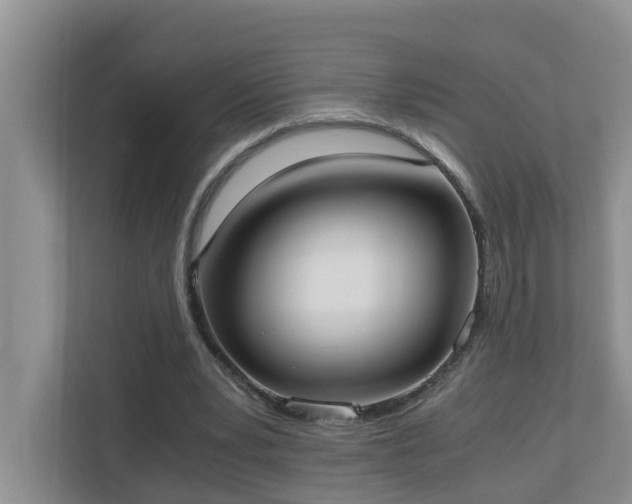 X0000110690391200906121230