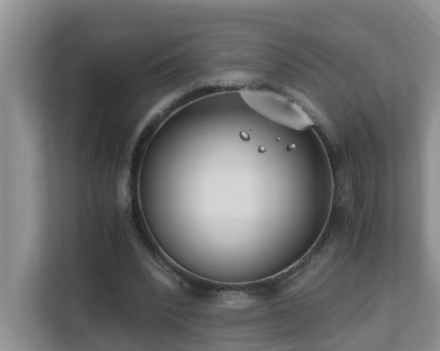 X0000110690392200906121230