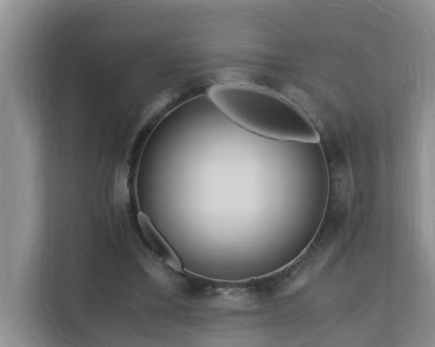 X0000110690395200906121230