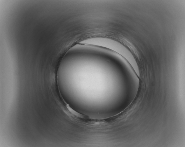 X0000110690401200906121230