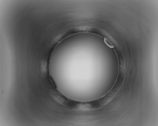 X0000110690403200906121230