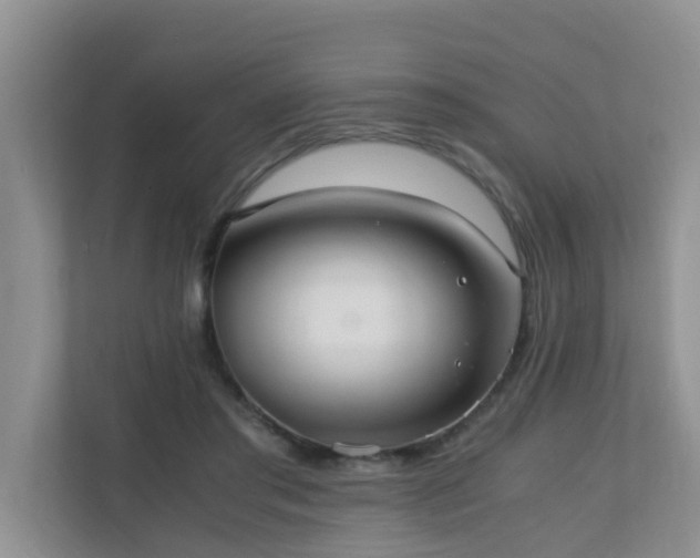 X0000110690405200906121230