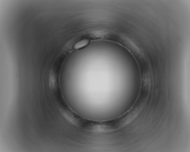 X0000110690408200906121230