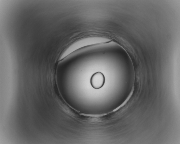 X0000110690409200906121230