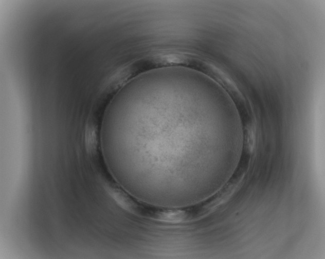 X0000110690410200906121230