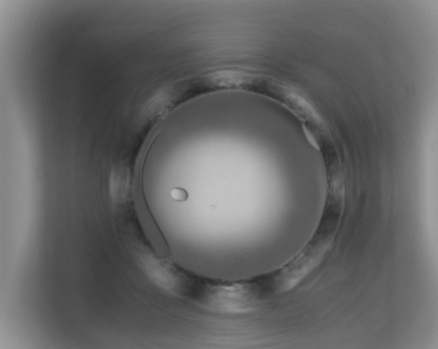 X0000110690411200906121230