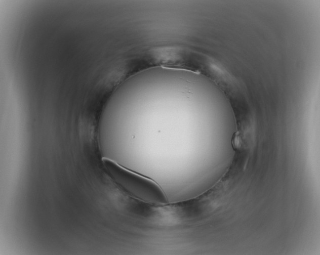 X0000110690417200906121230