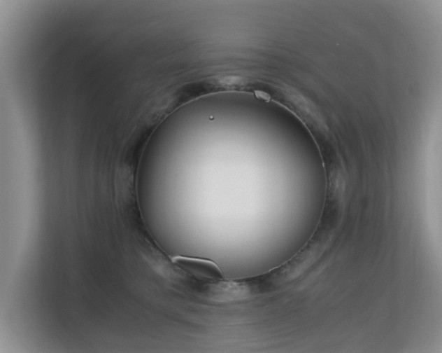 X0000110690421200906121230