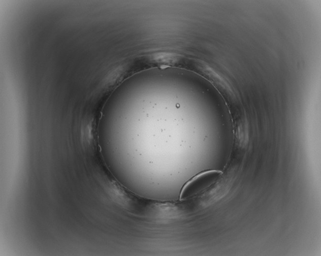 X0000110690424200906121230