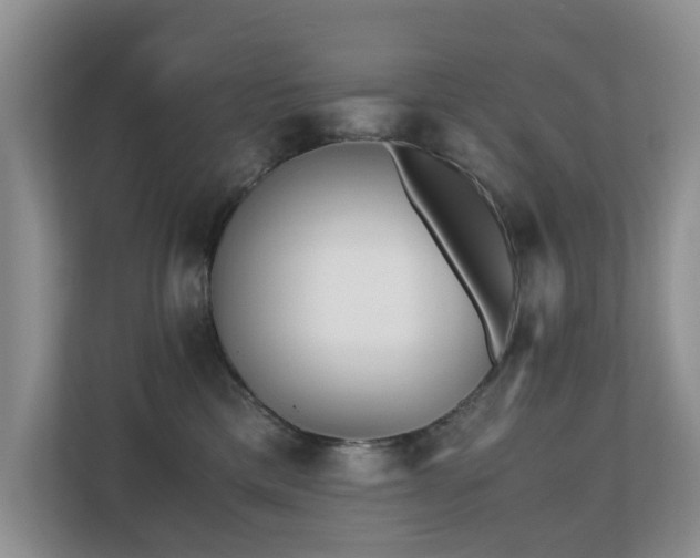 X0000110690425200906121230