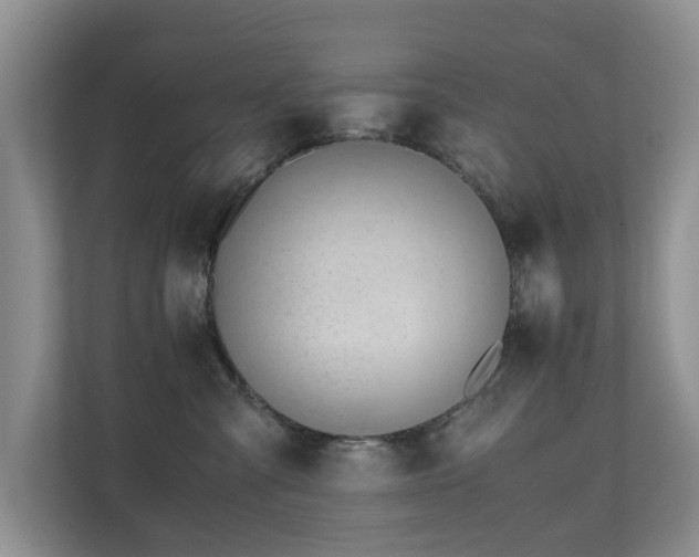 X0000110690427200906121230