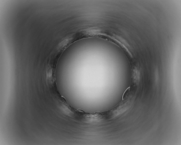 X0000110690428200906121230