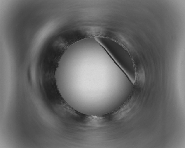 X0000110690429200906121230