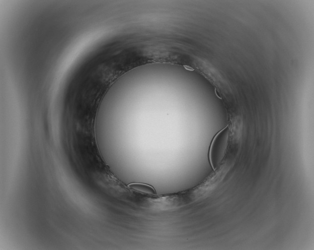 X0000110690430200906121230