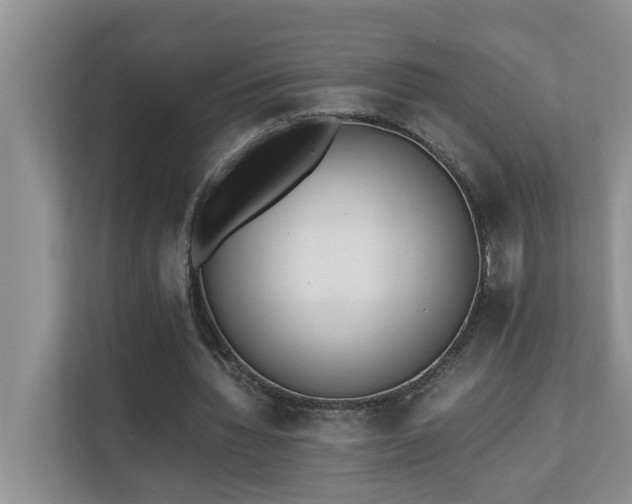 X0000110690436200906121229