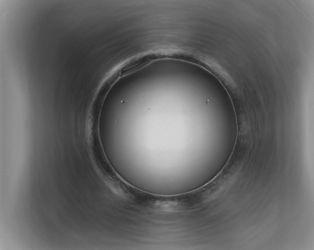 X0000110690440200906121229