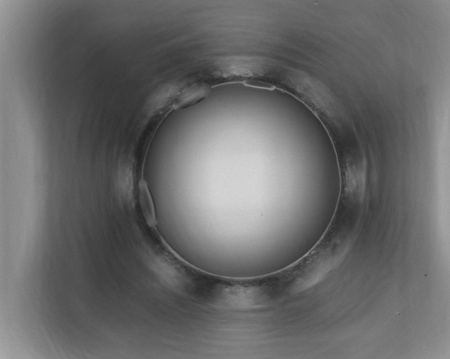 X0000110690444200906121229