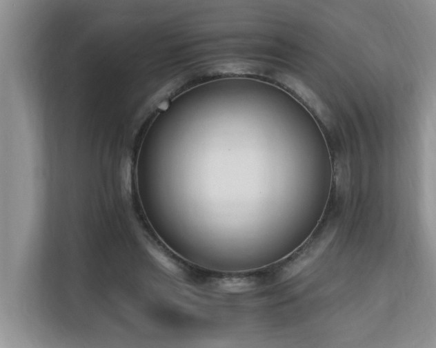 X0000110690445200906121229