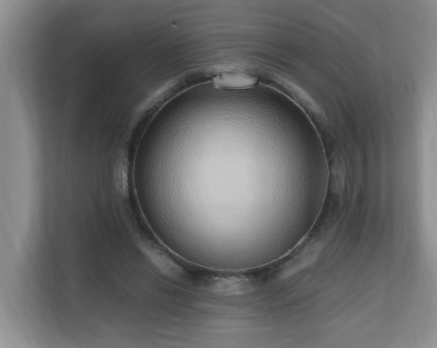 X0000110690446200906121229