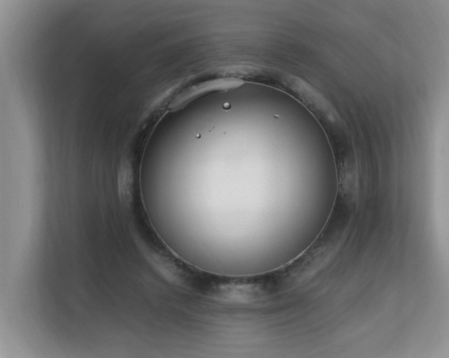 X0000110690448200906121229