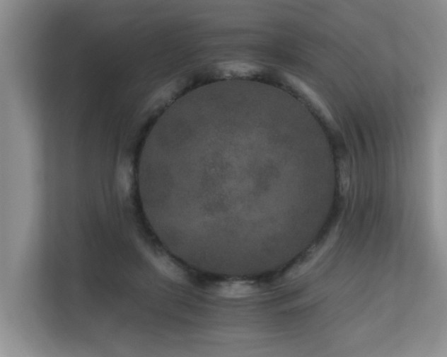 X0000110690451200906121229