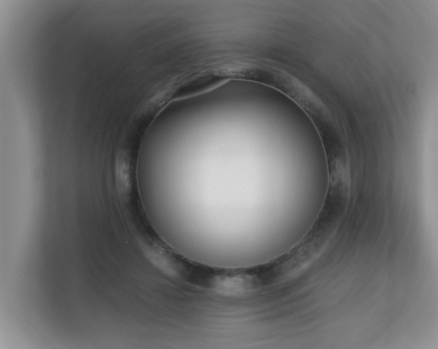 X0000110690452200906121229