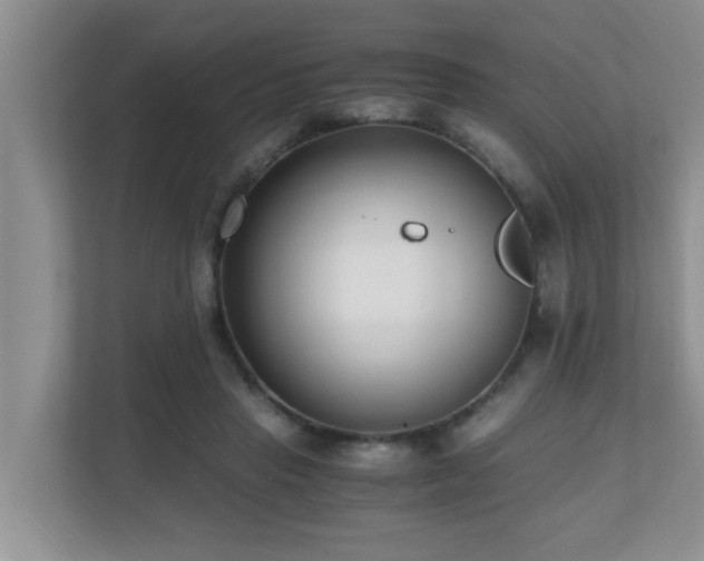 X0000110690453200906121229